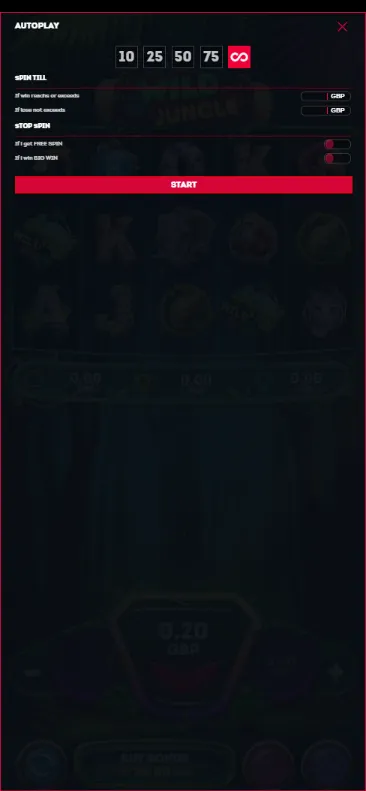 Auto spins settings in the game