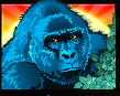 Gorilla symbol in Congo Cash slot