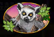 Lemur symbol in Congo Cash slot