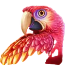 Jungle Fortune Parrot symbol