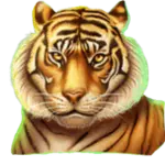 Jungle Fortune Tiger symbol