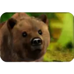 Bear symbol NetEnt game